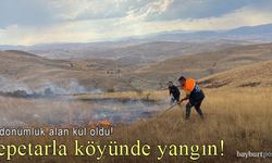 Tepetarla köyünde çıkan yangında 45 dönümlük alan kül oldu!
