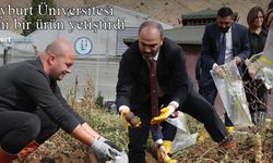 Bayburt Üniversitesi yeni bir ürün yetiştirdi: Mor Patates