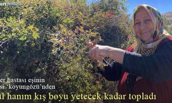 Şeker hastası eşi için ‘koyungözü’ meyvesi topluyor 