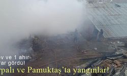 Arpalı ve Pamuktaş’ta korkutan yangınlar!