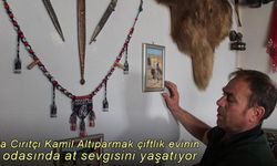 Usta Ciritçi Kamil Altıparmak, çiftlik evinin bir odasında at sevgisini yaşatıyor
