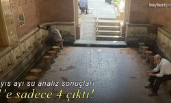 18 çeşme suyu analiz edildi, sadece 4'ü temiz!