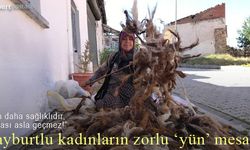 Bayburtlu kadınların zorlu 'yün' mesaisi