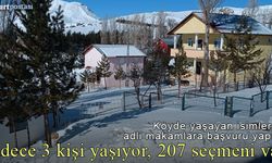 3 kişinin yaşadığı Yazlık köyünde 207 seçmen var!
