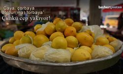 Bayburt'ta çayın tadı kaçtı, çünkü limon cep yakıyor!