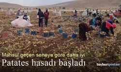 Bayburt'ta patates hasadı