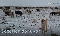 Bayburt'ta göçerlerin dönüşü başladı