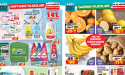 A101’de Domestos ve Fairy’e İndirim Geliyor! A101 27 Aralık Aktüel Kataloğu!