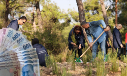 Çiftçilere Fidan ve Ekipman Desteği Müjdesi!