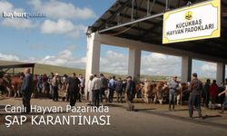 Bayburt Belediyesi Canlı Hayvan Pazarı'nda şap karantinası