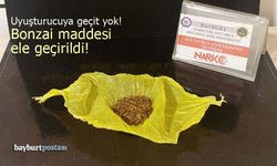 Bayburt'ta bonzai maddesi ele geçirildi!