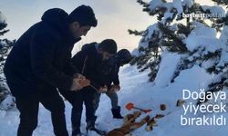 Bayburt’ta doğaya ekmek, buğday, mama, et ürünleri bırakıldı