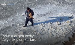 Çoruh'a düşen kediyi itfaiye ekipleri kurtardı!