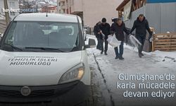 Gümüşhane'de de karla mücadele devam ediyor