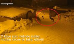 Bayburt'ta o köye sürü halinde indiler, muhtar drone ile izlerini sürdü!