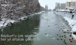 Bayburt'u çok sevdiler, her yıl artarak geliyorlar