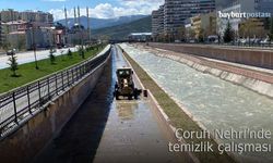 Çoruh Nehri'nde temizlik çalışması