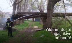 Bayburt’ta düşen yıldırım ağacı ikiye böldü!