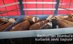 Bayburt’tan İstanbul’a kurbanlık hayvan sevki başlıyor