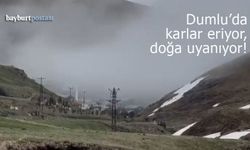 Bayburt'un Dumlu köyünde karlar eriyor, doğa uyanıyor!