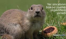 Bayburt'ta bisküvi ziyafeti çeken 'Anadolu Gelengisi' görüntülendi