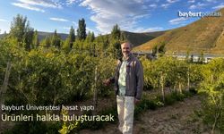 Bayburt Üniversitesi hasat yaptı, ürünlerini halkla buluşturuyor