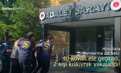 Bayburt'ta Arı Kovanı Hırsızlarına Jandarma Darbesi: 40 Kovan Ele Geçirildi!