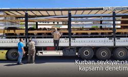 Bayburt'ta Kurban Sevkiyatına Sıkı Denetimler