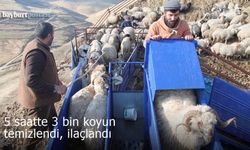 Bayburt'ta Mobil Koyun Yıkama Makinesi devrede: 5 saatte 3 bin hayvan