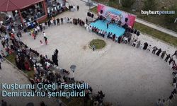 Kuşburnu Çiçeği Festivali Demirözü'nü Şenlendirdi