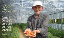 Bakanlık, Bayburtlu üretici İsmail Öksüz'ün seralarını yeniden yeşertti!