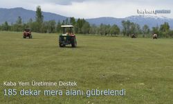 Çiğdemtepe köyünde gübreleme çalışması