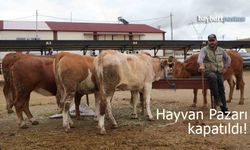 Bayburt'ta şap hastalığı tedirginliği: Hayvan Pazarı kapatıldı!