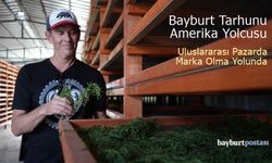 Bayburt Tarhunu Amerika Yolcusu