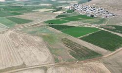 Demirözü’nde tarla içi yollar yapılıyor