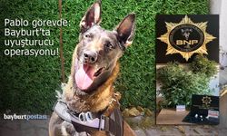 Narkotik köpeği Pablo ile Bayburt'ta operasyonlar!