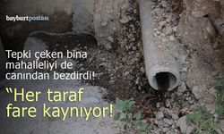 Tepki çeken bina, mahalleliyi de canından bezdirdi!