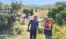 Bayburt'taki arıcılara 2025 desteği için tespit çalışması