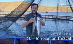 Demirözü göletinden Dünya sofralarına: 105 ton alabalık ihracatı