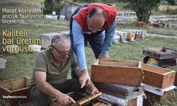 Masat köyündeki arıcılık faaliyetleri incelendi