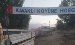 Bayburt'un 4 köyünde haşerelere karşı ilaçlama