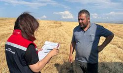 Aydıntepe’de hasat zamanı