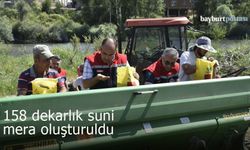 Bayburt'un o köyünde 158 dekarlık suni mera oluşturuldu