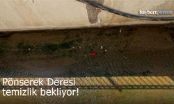 Pönserek Deresi'nin suyu yosun ve çöple kaplandı!
