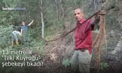 Hasköy'de 13 metrelik "Tilki Kuyruğu" şebekeyi tıkadı!