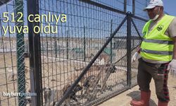 Bayburt Belediyesi Barınağı 512 canlıya yuva oldu