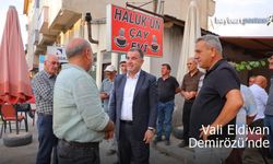Vali Mustafa Eldivan Demirözü'nde