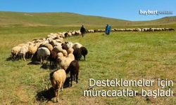 Bayburt İl Tarım ve Orman Müdürlüğü'nden Destekleme Duyurusu