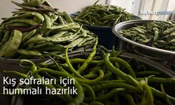 Bayburtlu Kadınlar Kış Sofraları İçin Kolları Sıvadı