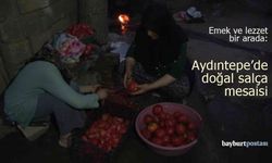 Emek ve lezzet bir arada: Aydıntepe'de doğal salça mesaisi